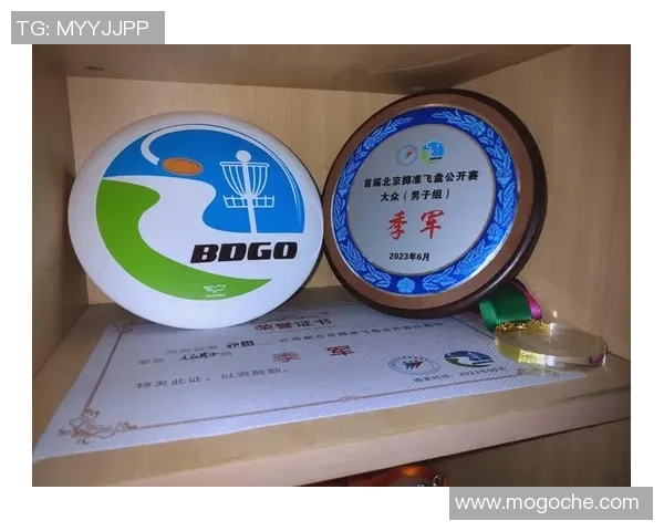 武汉飞盘队逆袭之路：从挑战到革新全景探秘